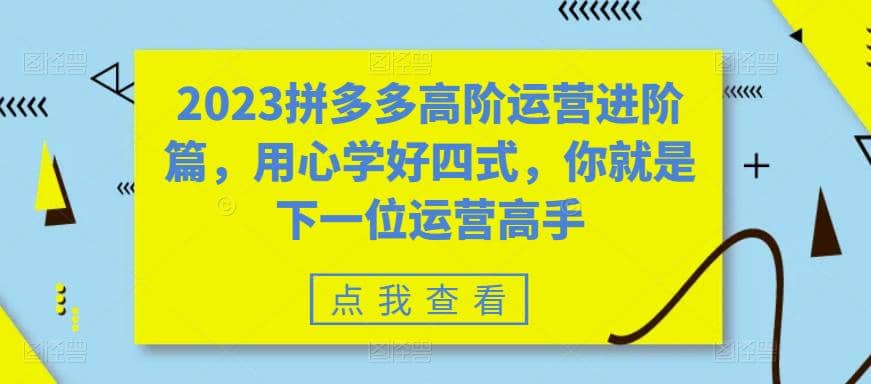 2023拼多多高阶运营进阶篇，用心学好四式，你就是下一位运营高手