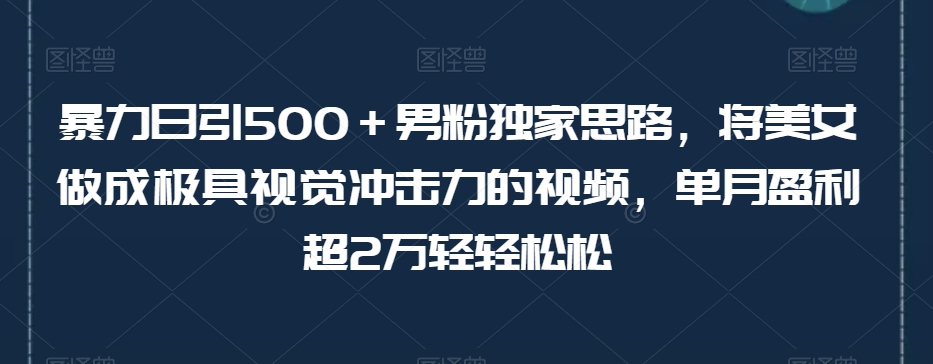 暴力日引500+男粉，独家思路与高效制作视频指南，单月盈利超2万轻轻松松