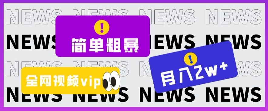 全网视频VIP掘金项目，月入2万+揭秘：简单粗暴，一本万利