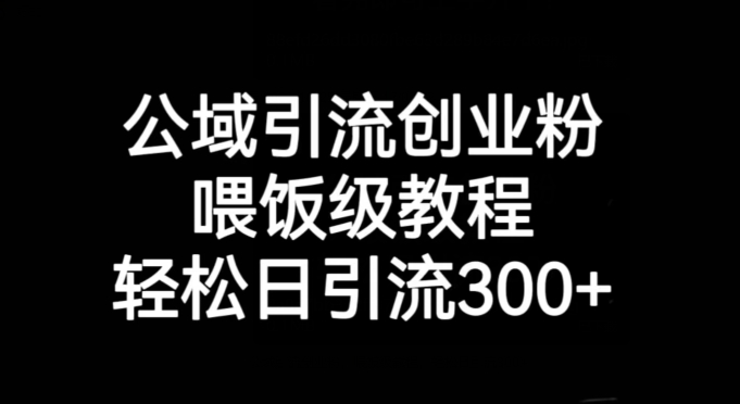 公域引流创业粉实战教程：轻松日引300+精准粉丝