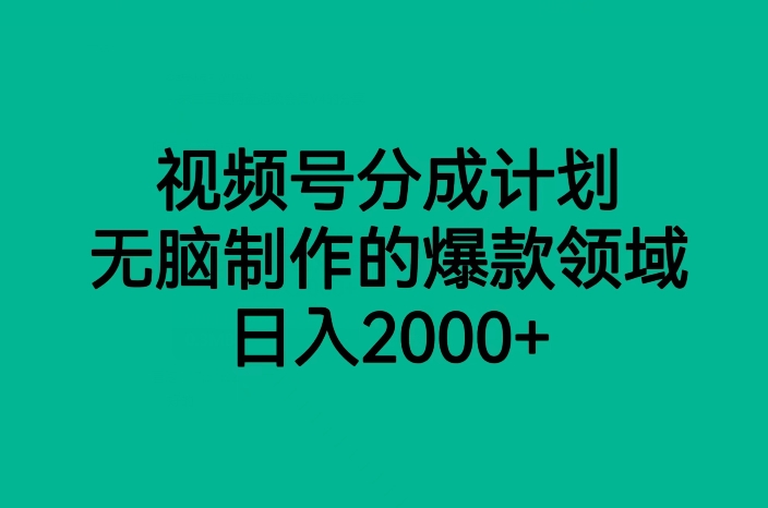 视频号分成计划，轻松实现日入2000+，无脑制作的爆款领域