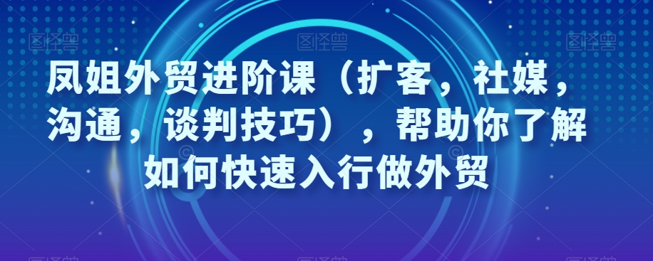 凤姐外贸进阶课：掌握扩客、社媒、沟通与谈判技巧