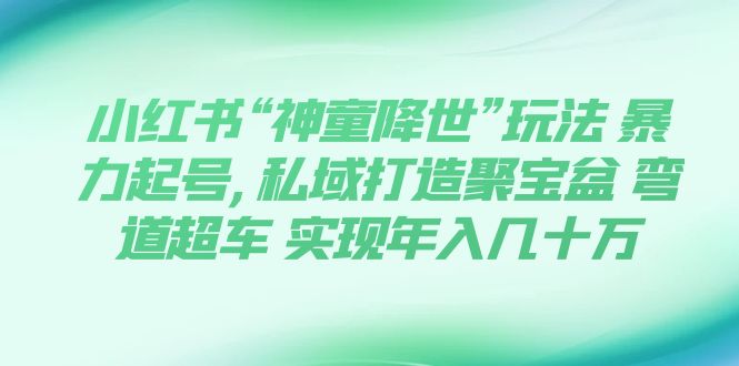 小红书“神童降世”玩法：暴力起号，私域打造聚宝盆，实现年入几十万