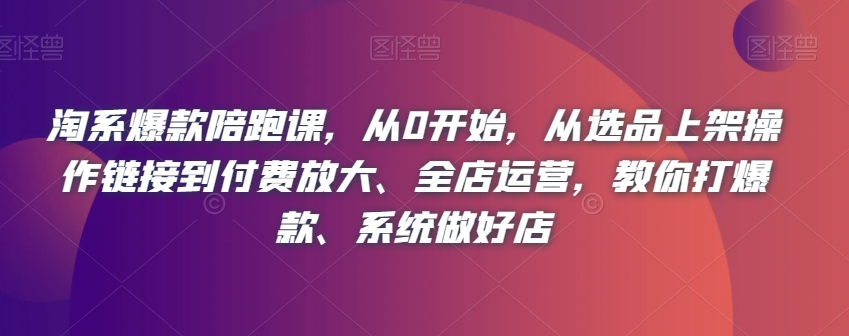 淘系爆款打造全程指南：选品、上架、付费推广、全店运营一网打尽