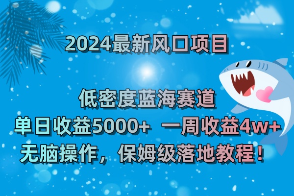 2024最新风口项目，低密度蓝海赛道，日收益5000+周收益4w+，无脑操作，保姆级落地教程！