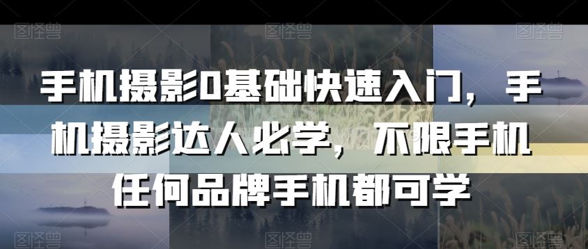 手机摄影0基础快速入门，手机摄影达人必学，不限手机任何品牌手机都可学_知识