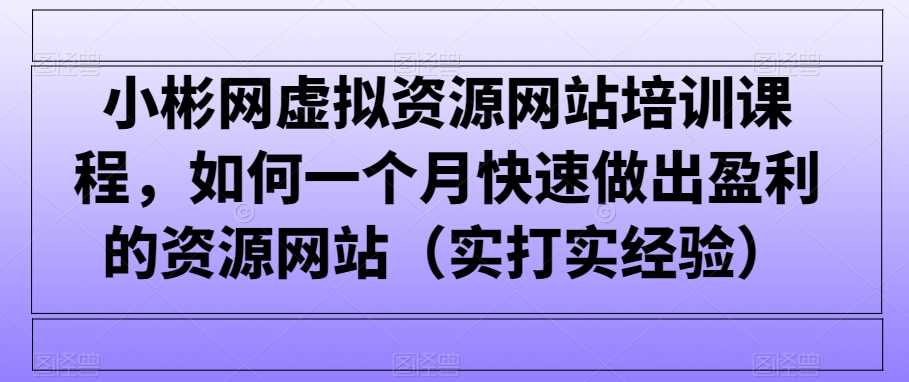 小彬网虚拟资源网站培训课程，如何一个月快速做出盈利的资源网站（实打实经验）_项目