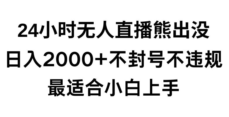 快手24小时无人直播熊出没，不封直播间，不违规，日入2000+，最适合小白上手，保姆式教学【揭秘】_项目