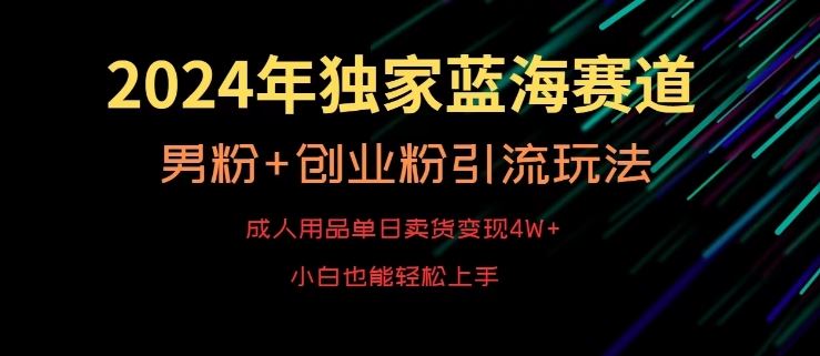 2024年独家蓝海赛道，成人用品单日卖货变现4W+，男粉+创业粉引流玩法，不愁搞不到流量【揭秘】_领域