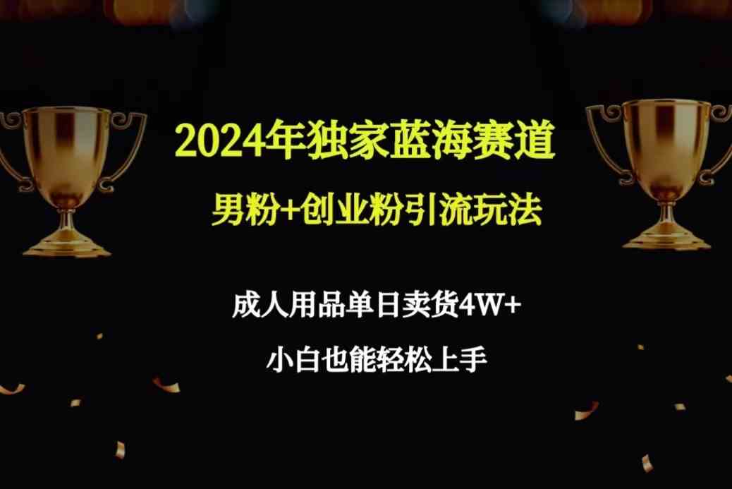 2024年独家蓝海赛道男粉+创业粉引流玩法，成人用品单日卖货4W+保姆教程_小白