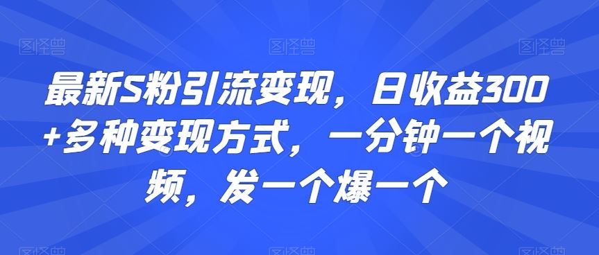 最新S粉引流变现，日收益300+多种变现方式，一分钟一个视频，发一个爆一个【揭秘】_玩法