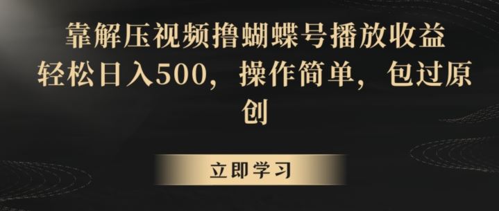 靠解压视频撸蝴蝶号播放收益，轻松日入500，操作简单，包过原创【揭秘】_课程