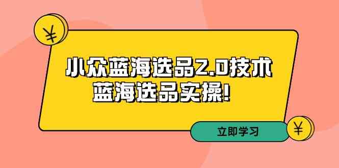 拼多多培训第33期：小众蓝海选品2.0技术-蓝海选品实操！_玩法