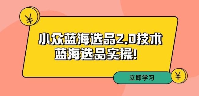 拼多多培训第33期：小众蓝海选品2.0技术-蓝海选品实操！_课程