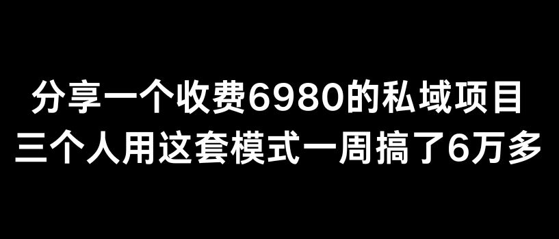 分享一个外面卖6980的私域项目三个人用这套模式一周搞了6万多【揭秘】_实操