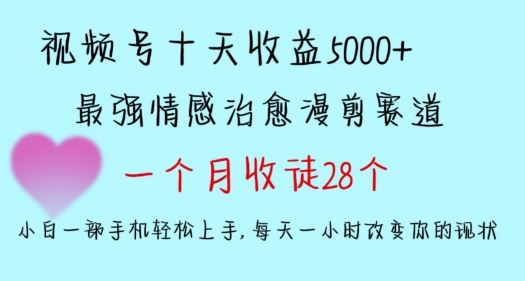 十天收益5000+，多平台捞金，视频号情感治愈漫剪，一个月收徒28个，小白一部手机轻松上手【揭秘】_课程