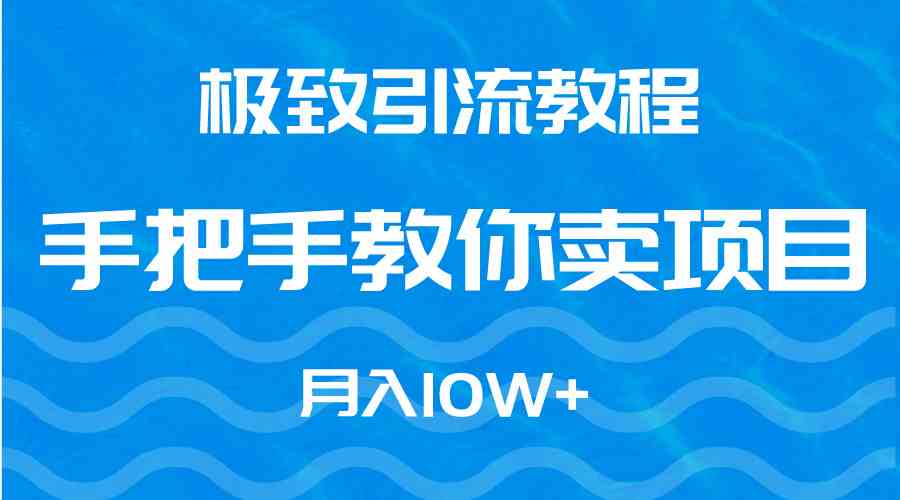 极致引流教程，手把手教你卖项目，月入10W+_课程