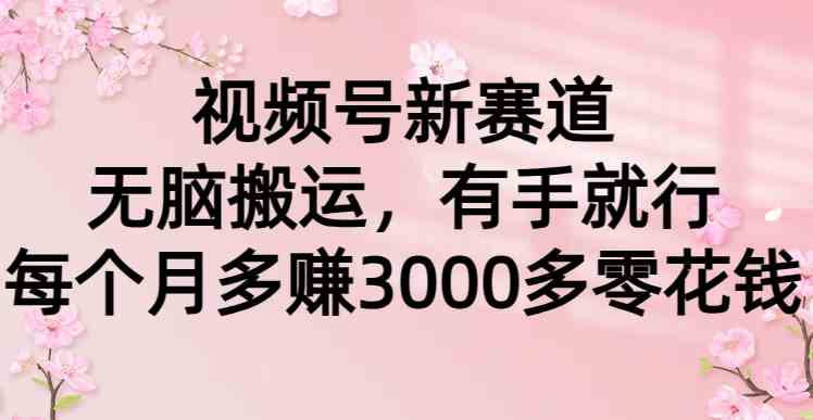 视频号新赛道，无脑搬运，有手就行，每个月多赚3000多零花钱_项目