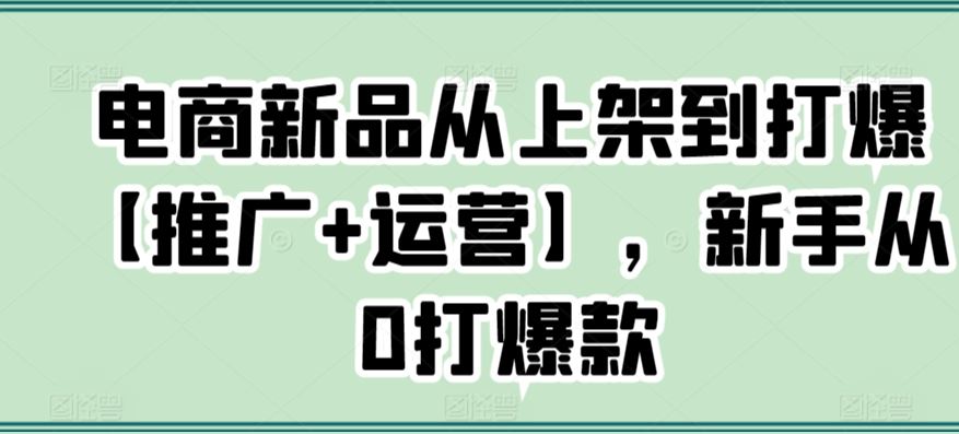 电商新品从上架到打爆【推广+运营】，新手从0打爆款_课程