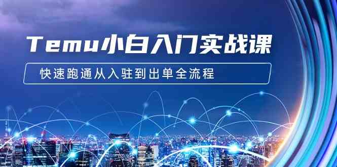 Temu小白入门实战课：跨境拼多多电商培训 快速跑通从入驻到出单全流程-12节_秘诀