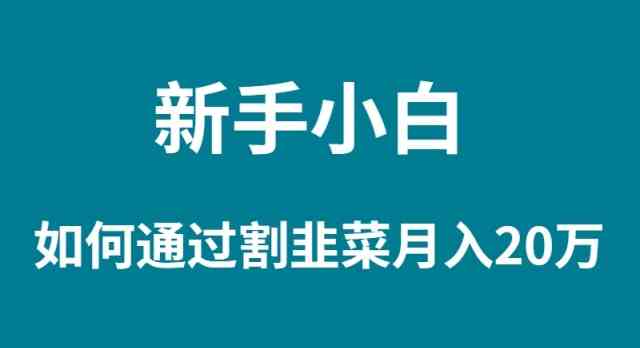 新手小白如何通过割韭菜月入 20W_项目