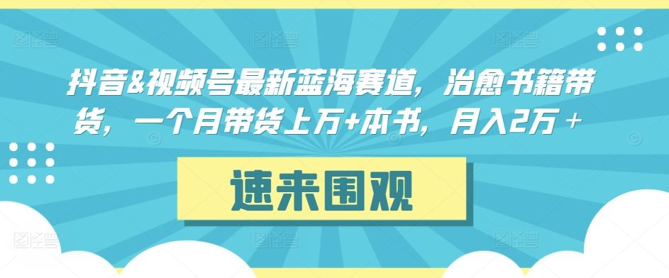 抖音&视频号最新蓝海赛道，治愈书籍带货，一个月带货上万+本书，月入2万＋_课程