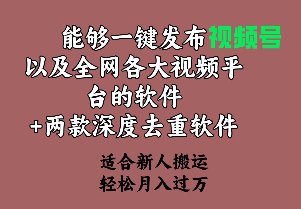 能够一键发布视频号以及全网各大视频平台的软件+两款深度去重软件_操作