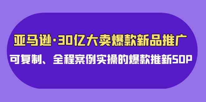 （9944期）亚马逊30亿·大卖爆款新品推广，可复制、全程案例实操的爆款推新SOP