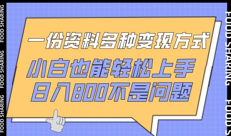 一份资料多种盈利途径，小白轻松上手，日收 800+【攻略】