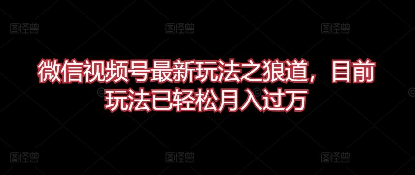 微信视频号狼道玩法大揭秘，轻松月入过万【必知】