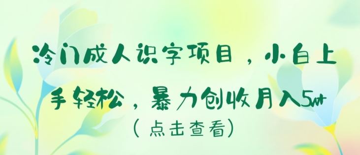 成人识字项目揭秘，轻松上手月入五万+