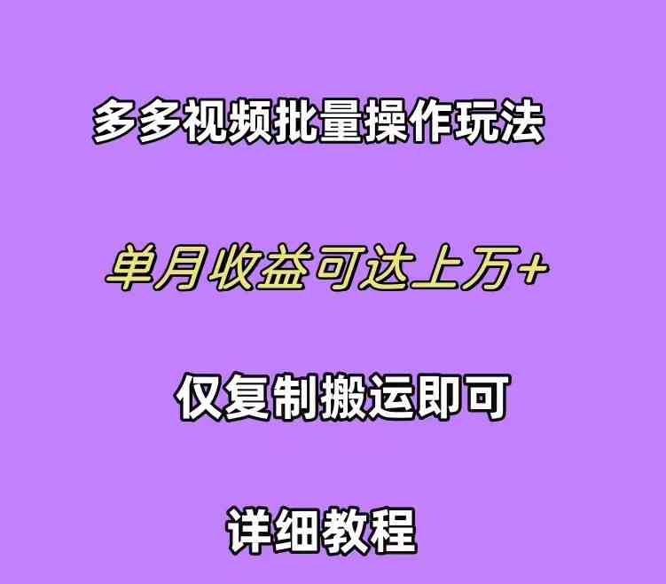 （10029期）拼多多视频带货快速过爆款选品教程 每天轻轻松松赚取三位数佣金 小白必…