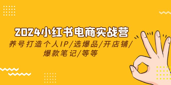 （10376期）2024小红书电商实战营，养号打造IP/选爆品/开店铺/爆款笔记/等等（24节）