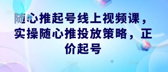 随心推起号线上视频课，实操随心推投放策略，正价起号