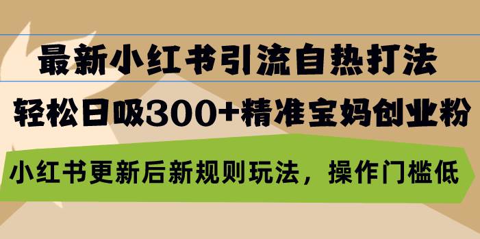 （无水印）最新小红书引流自热打法，轻松日吸300+精准宝妈创业粉，小红书更新后新…