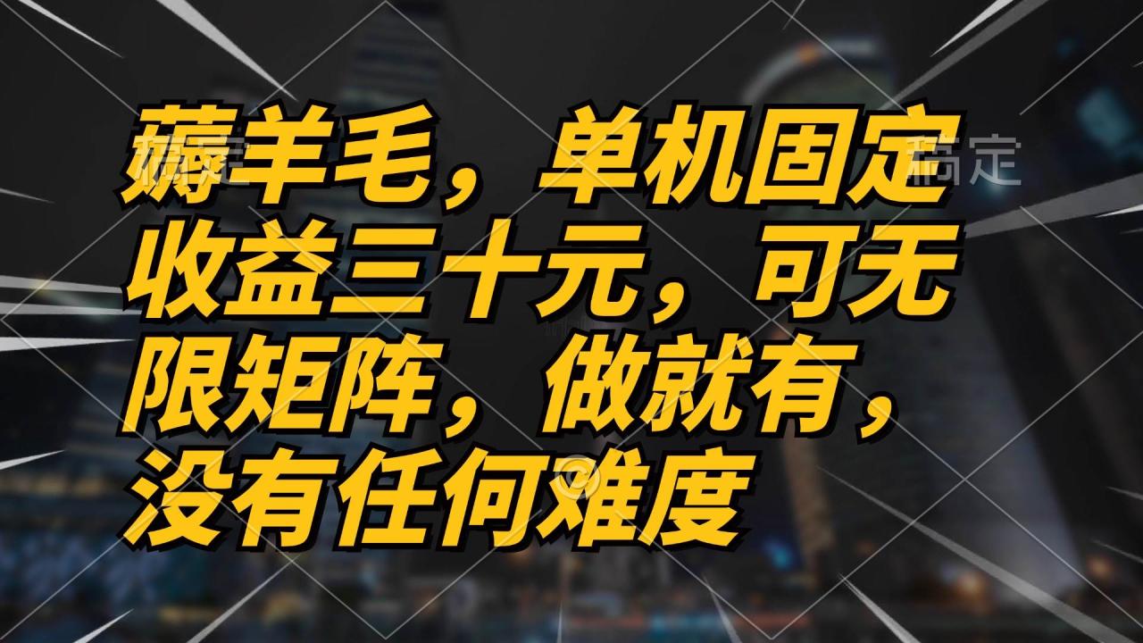 （无水印）薅羊毛项目，单机三十元，做就有，可无限矩阵 无任何难度