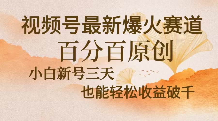 （无水印）视频号最新爆火赛道，中老年粉深信不疑，百分百原创，新号三天收益轻松…