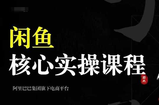 2024闲鱼核心实操课程，从养号、选品、发布、销售，教你做一个出单的闲鱼号