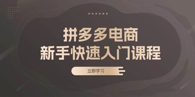 （无水印）拼多多电商新手快速入门课程：涵盖基础、实战与选款，助力小白轻松上手