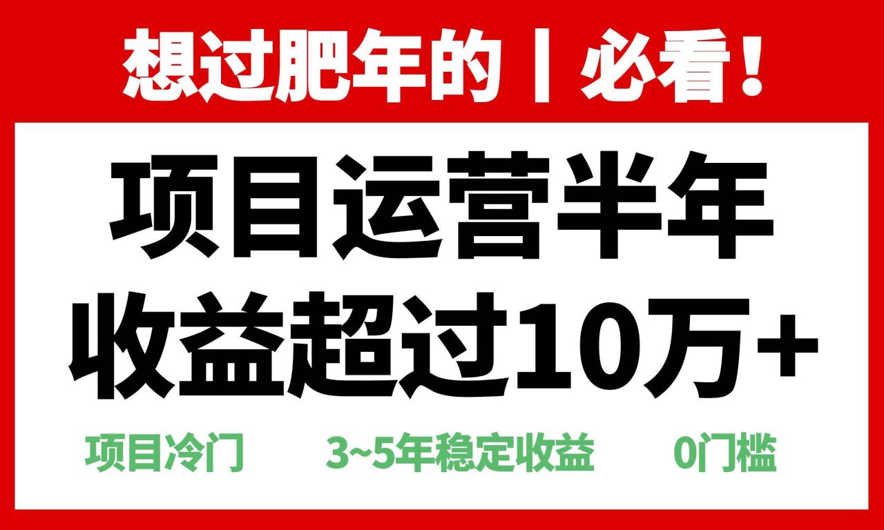 （无水印）年前过肥年的必看的超冷门项目，半年收益超过10万+，