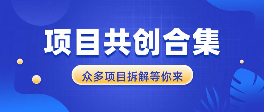 （无水印）项目共创合集，从0-1全过程拆解，让你迅速找到适合自已的项目