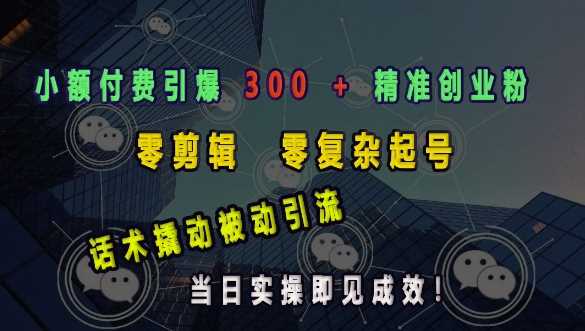 小额付费引爆 300 + 精准创业粉，零剪辑、零复杂起号，话术撬动被动引流，当日实操即见成效