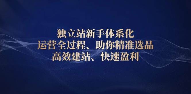 （无水印）独立站新手体系化 运营全过程，助你精准选品、高效建站、快速盈利