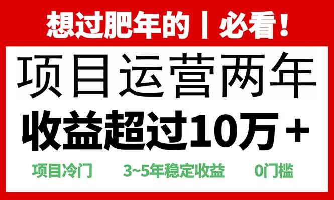 （无水印）2025快递站回收玩法：收益超过10万+，项目冷门，0门槛