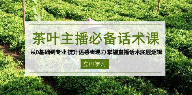 （无水印）茶叶 主播必备话术课 从0基础到专业 提升语感表现力 掌握直播话术底层逻辑