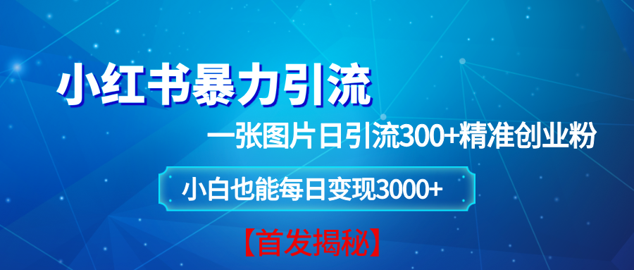 （无水印）小红书暴力引流法，一张图片日引 300+精准创业粉，每日稳定变现 3000+【揭秘】