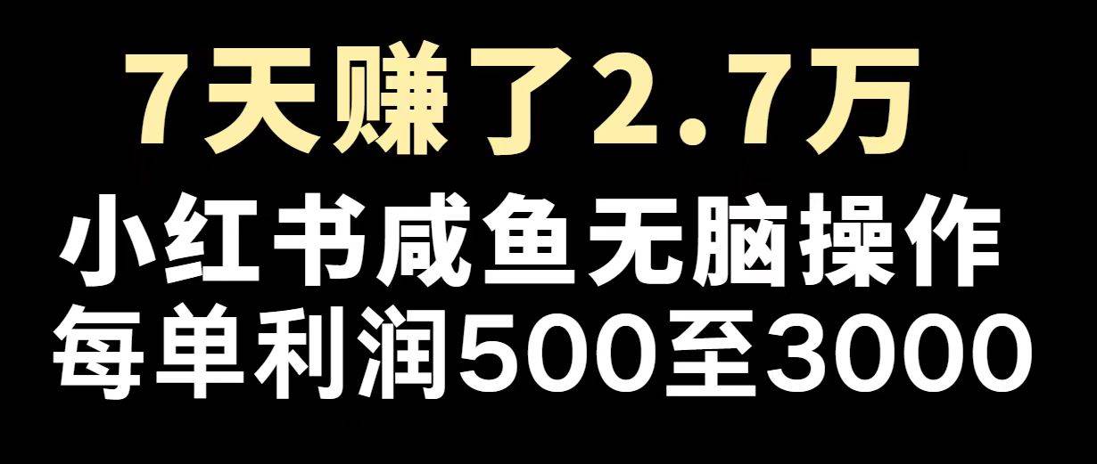 （无水印）最赚钱项目之一，2025爆火，逆风翻盘！