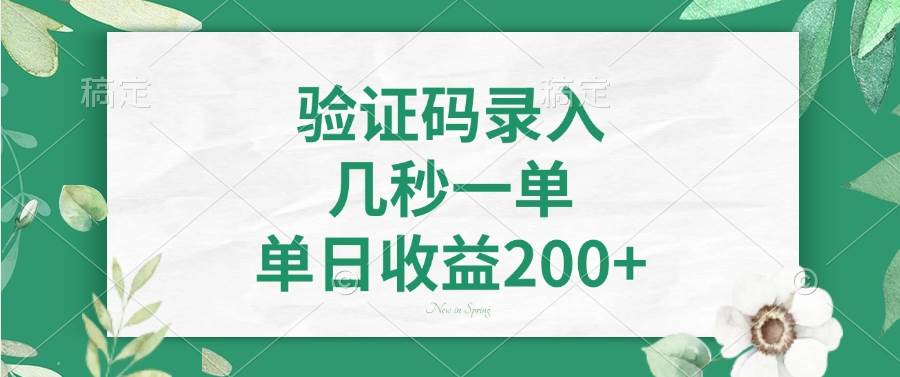 （无水印）验证码录入，几秒一单，单日收益200+