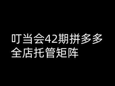 叮当会拼多多打爆班原创高阶技术第42期，拼多多全店托管矩阵