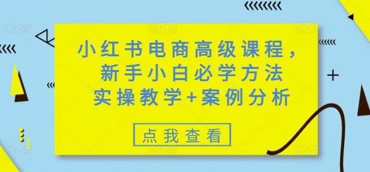 小红书电商高级课程，新手小白必学方法，实操教学+案例分析